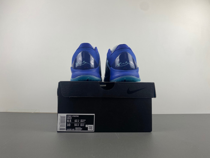 zoom kobe 5 protro 